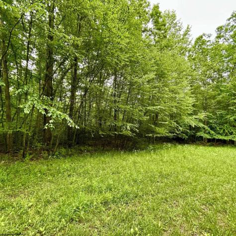 0 Camp Mountaineer Road Morgantown WV 26508