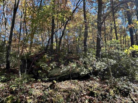 0 Camp Mountaineer Road Morgantown WV 26508