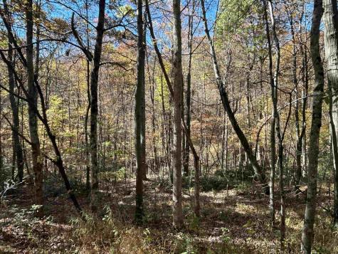 0 Camp Mountaineer Road Morgantown WV 26508
