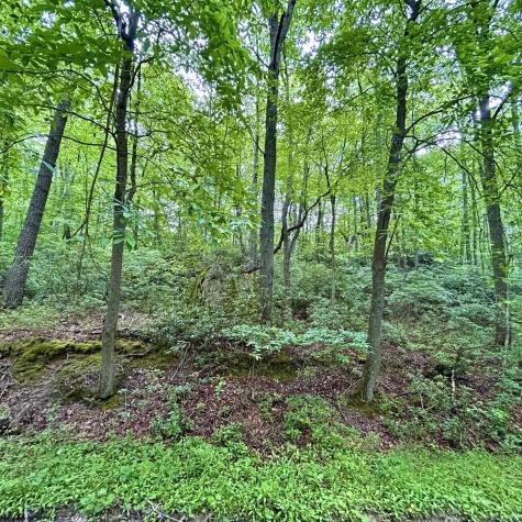 0 Camp Mountaineer Road Morgantown WV 26508