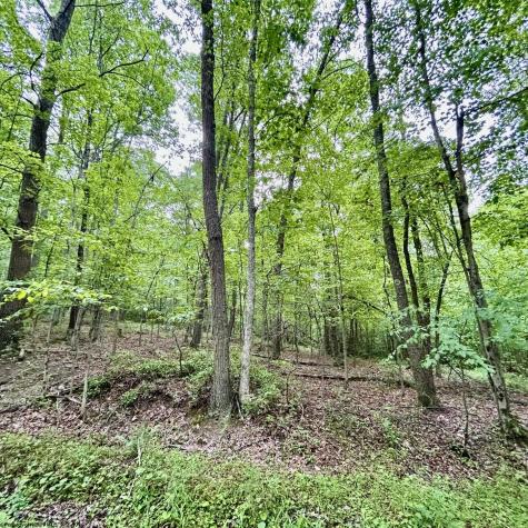 0 Camp Mountaineer Road Morgantown WV 26508