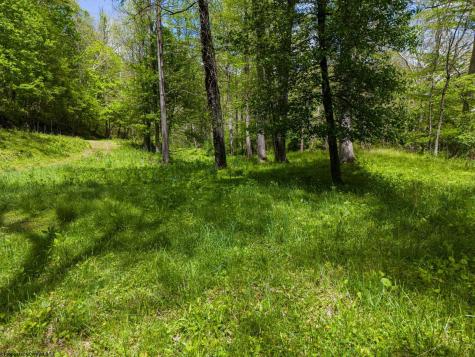 1 Libbylu Lane Buckhannon WV 26201