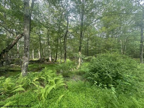 88 Goldenrod Drive Terra Alta WV 26764