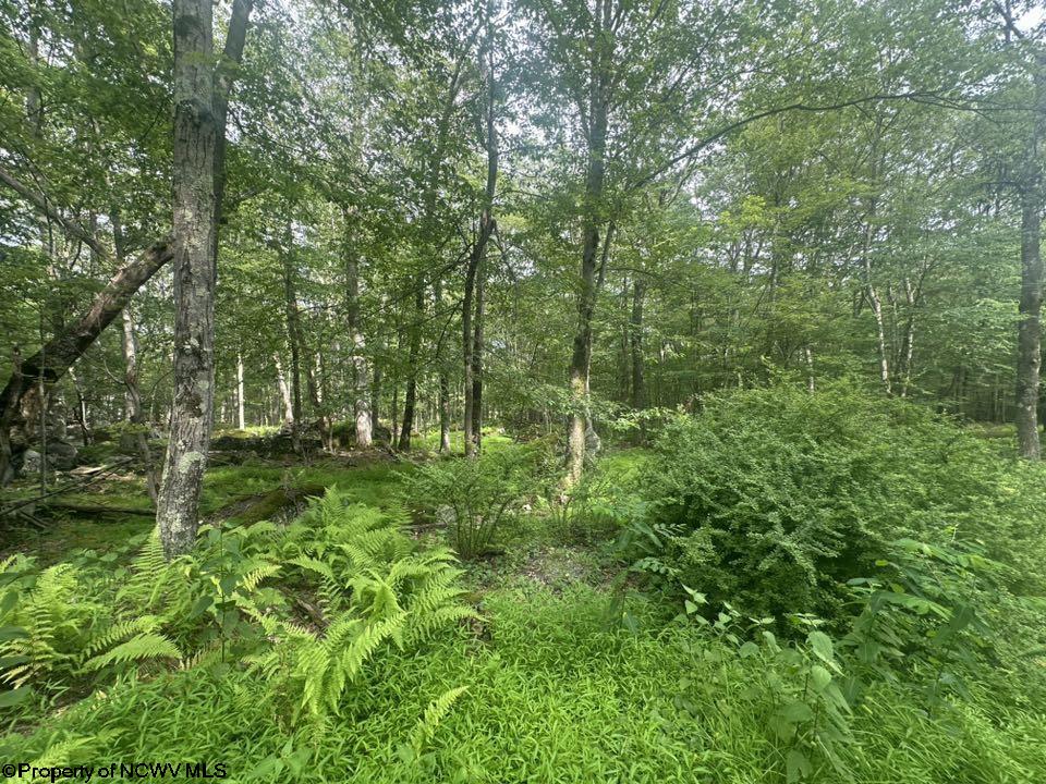 88 Goldenrod Drive Terra Alta WV 26764
