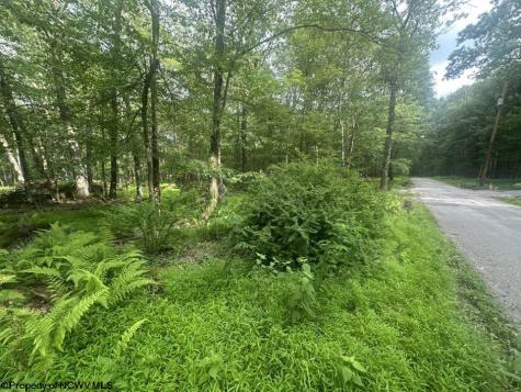 88 Goldenrod Drive Terra Alta WV 26764