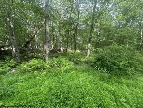 88 Goldenrod Drive Terra Alta WV 26764