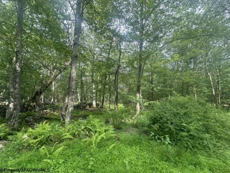 88 Goldenrod Drive Terra Alta WV 26764