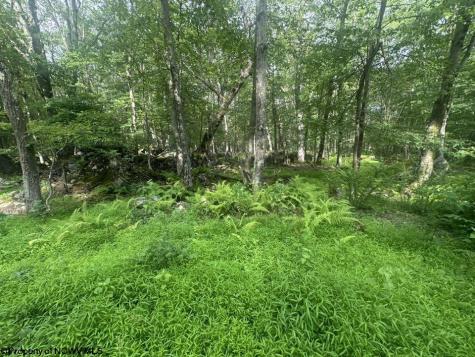 88 Goldenrod Drive Terra Alta WV 26764