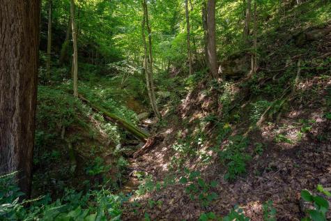 109 Dug Hill Road Morgantown WV 26508