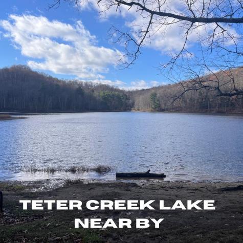 0 Beech Street Belington WV 26283