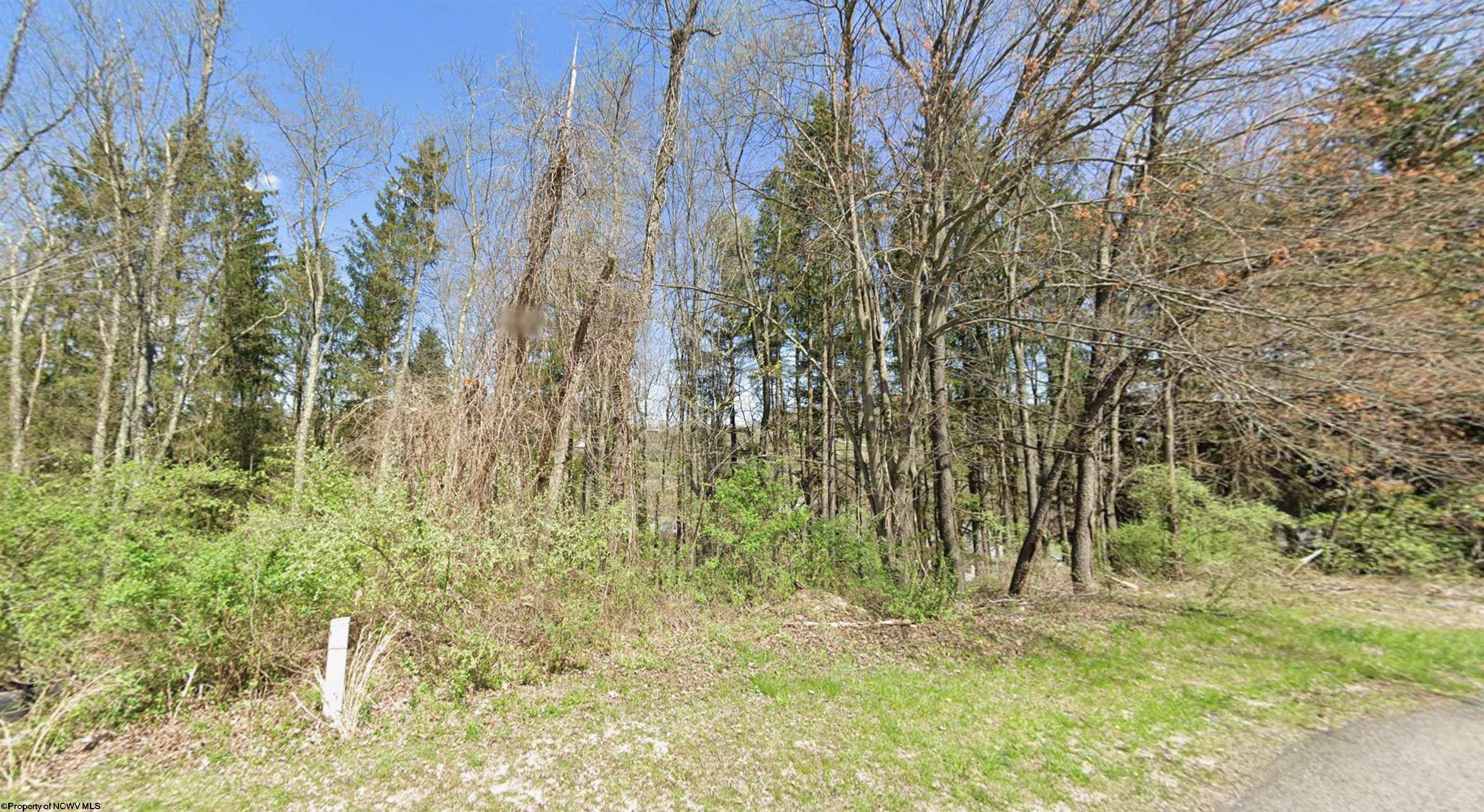 3 Elm Crest Court Morgantown WV 26508