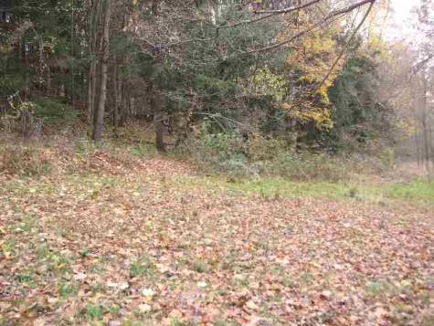 3 Elm Crest Court Morgantown WV 26508