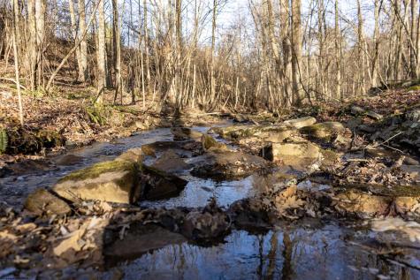 Lot 1 Frost Run Moatsville WV 26405