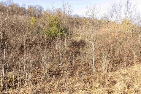1 Frost Run Moatsville WV 26405