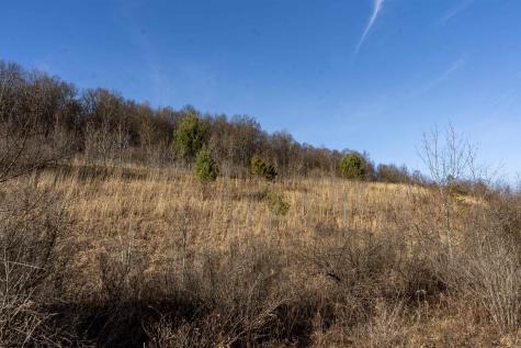 1 Frost Run Moatsville WV 26405