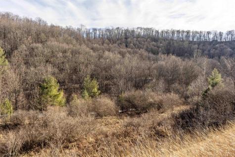 1 Frost Run Moatsville WV 26405