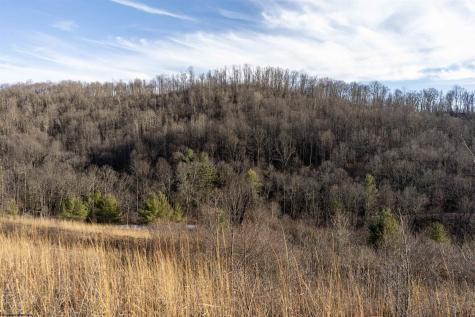 1 Frost Run Moatsville WV 26405