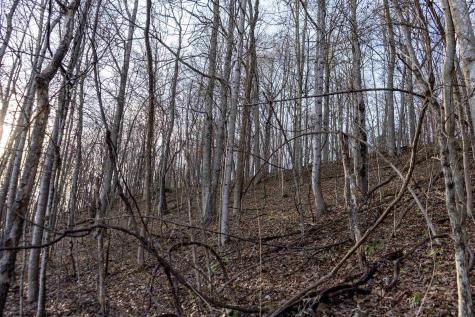 1 Frost Run Moatsville WV 26405