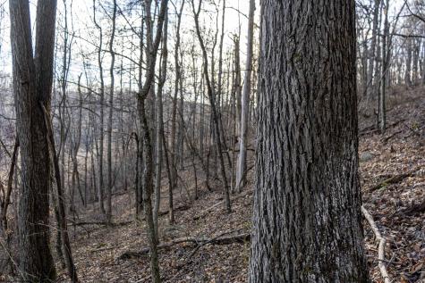 1 Frost Run Moatsville WV 26405