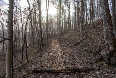 1 Frost Run Moatsville WV 26405