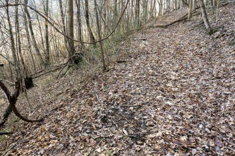 1 Frost Run Moatsville WV 26405