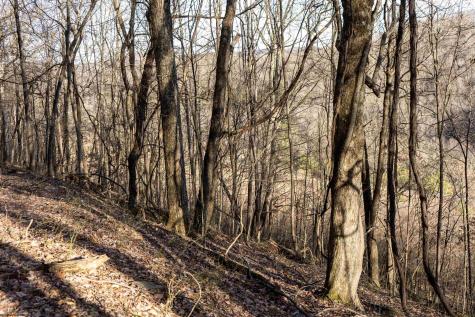 1 Frost Run Moatsville WV 26405