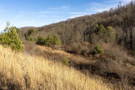 Lot 1 Frost Run Moatsville WV 26405