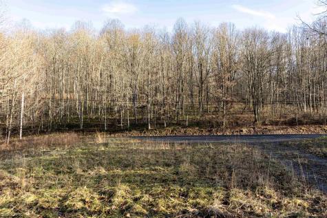 1 Frost Run Moatsville WV 26405