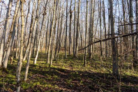 1 Frost Run Moatsville WV 26405