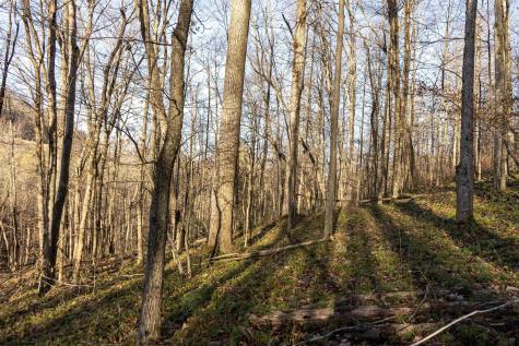 Lot 1 Frost Run Moatsville WV 26405