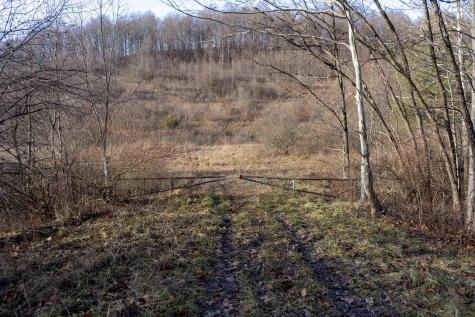 1 Frost Run Moatsville WV 26405