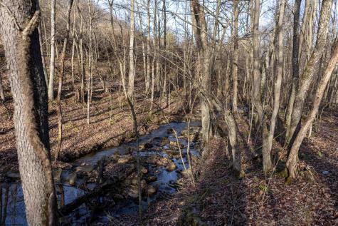 1 Frost Run Moatsville WV 26405