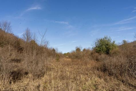 1 Frost Run Moatsville WV 26405