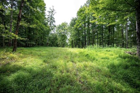 1 Audra State Road Belington WV 26250