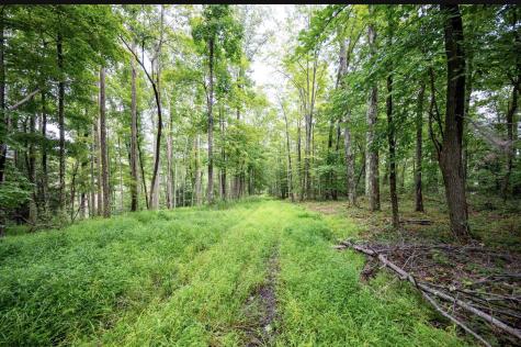 1 Audra State Road Belington WV 26250