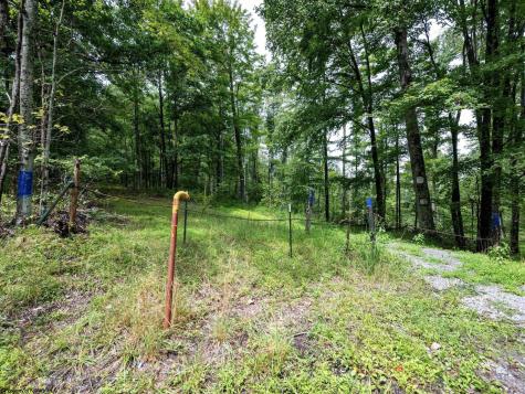 1 Audra State Road Belington WV 26250