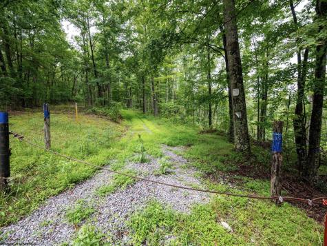 1 Audra State Road Belington WV 26250