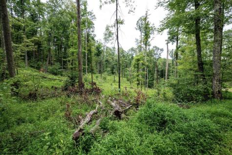 1 Audra State Road Belington WV 26250