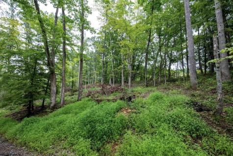 1 Audra State Road Belington WV 26250