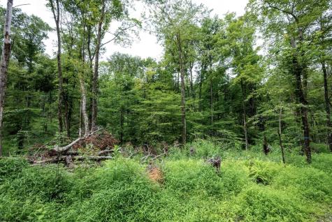 1 Audra State Road Belington WV 26250