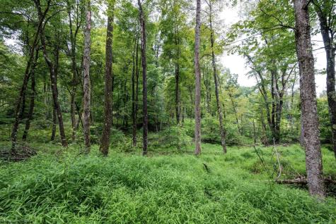 1 Audra State Road Belington WV 26250