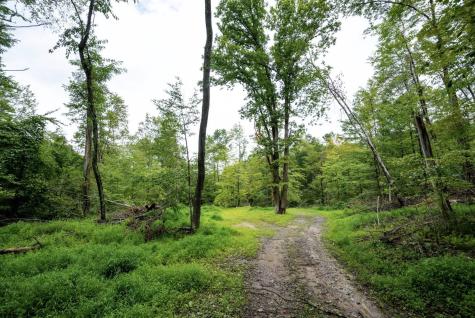 1 Audra State Road Belington WV 26250