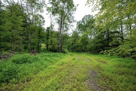 1 Audra State Road Belington WV 26250