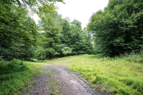 1 Audra State Road Belington WV 26250