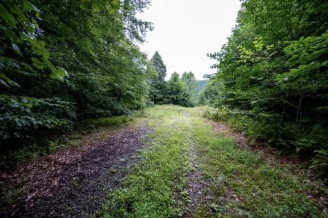 1 Audra State Road Belington WV 26250