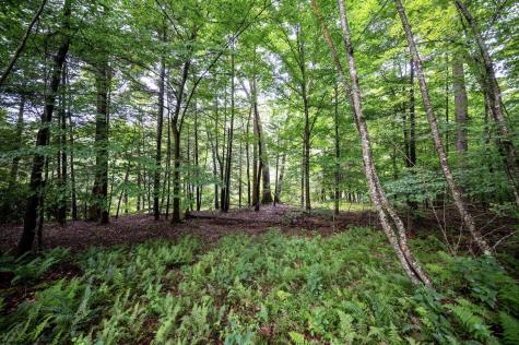 1 Audra State Road Belington WV 26250