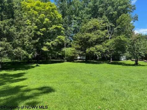 0 Brooklyn Heights Road Parsons WV 26287
