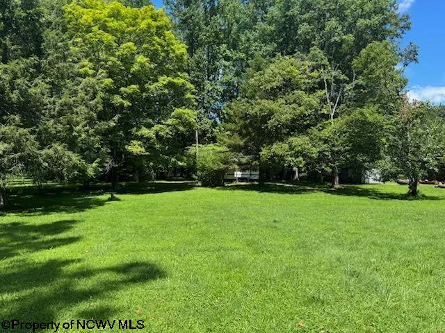 0 Brooklyn Heights Road Parsons WV 26287