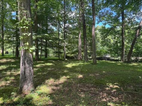 0 Brooklyn Heights Road Parsons WV 26287