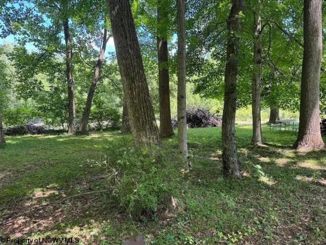 0 Brooklyn Heights Road Parsons WV 26287